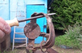 Вместо бобра в капкан в Тверской области попал домашний кот Вместо бобра в капкан в Тверской области попал домашний кот