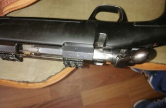 В Тверской области задержали подозреваемого в убийстве лося