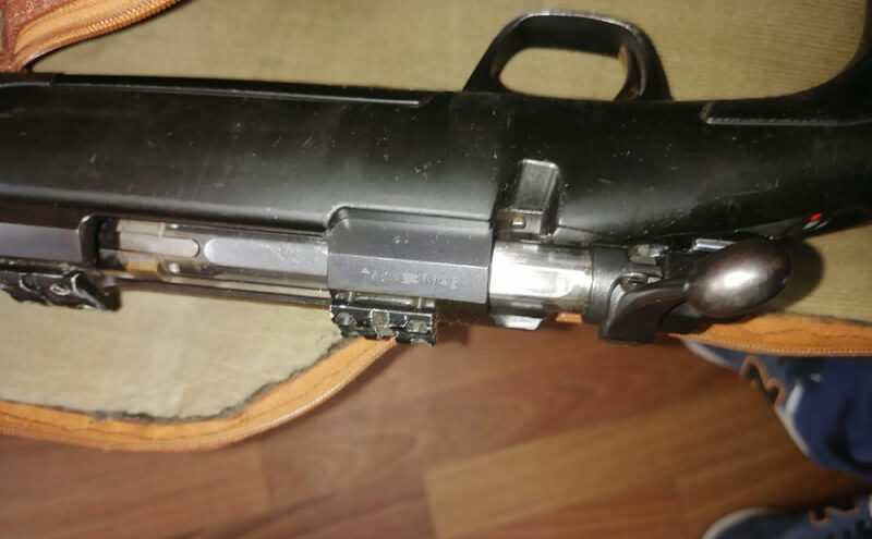 В Тверской области задержали подозреваемого в убийстве лося