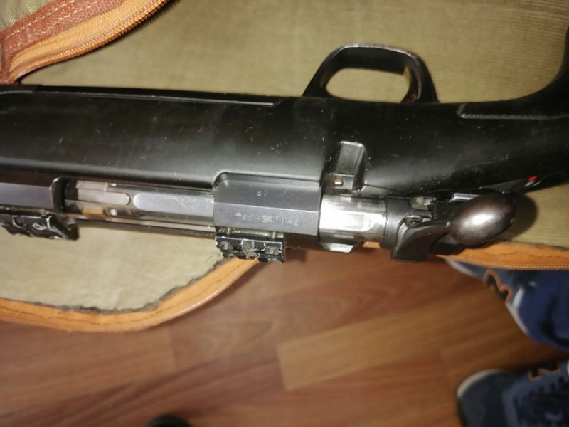 В Тверской области задержали подозреваемого в убийстве лося