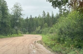Жителей Тверской области оштрафовали из-за борщевика