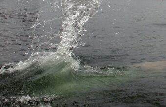 На озере в Тверской области утонул мужчина