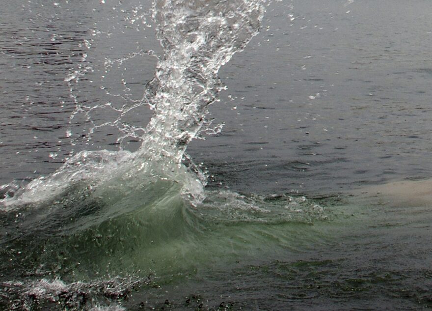 На озере в Тверской области утонул мужчина