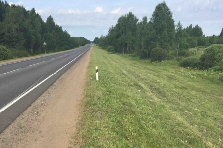 Вдоль федеральных трасс в Тверской области уничтожили борщевик Вдоль федеральных трасс в Тверской области уничтожили борщевик