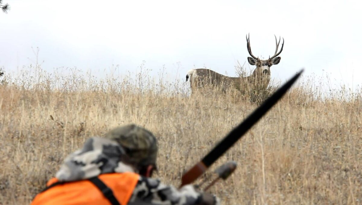В Тверской области разрешили убить 3,5 тысячи животных