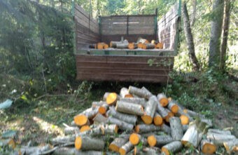 В Тверской области задержали «чёрного» лесоруба В Тверской области задержали «чёрного» лесоруба
