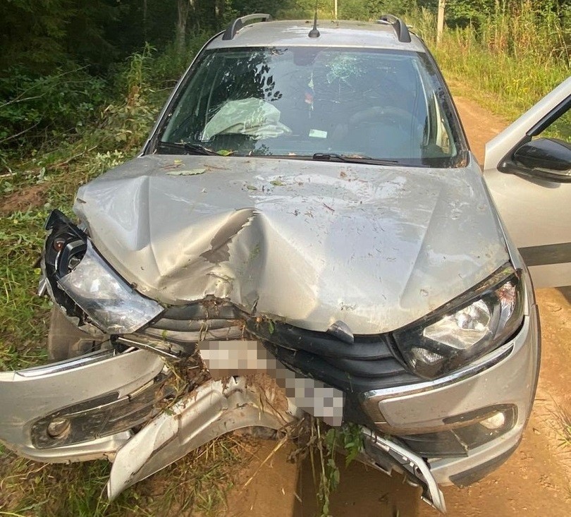 8-летний ребёнок попал в больницу после ДТП в Тверской области