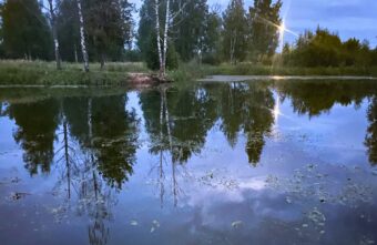 Тело мужчины нашли в пруду в Тверской области Тело мужчины нашли в пруду в Тверской области
