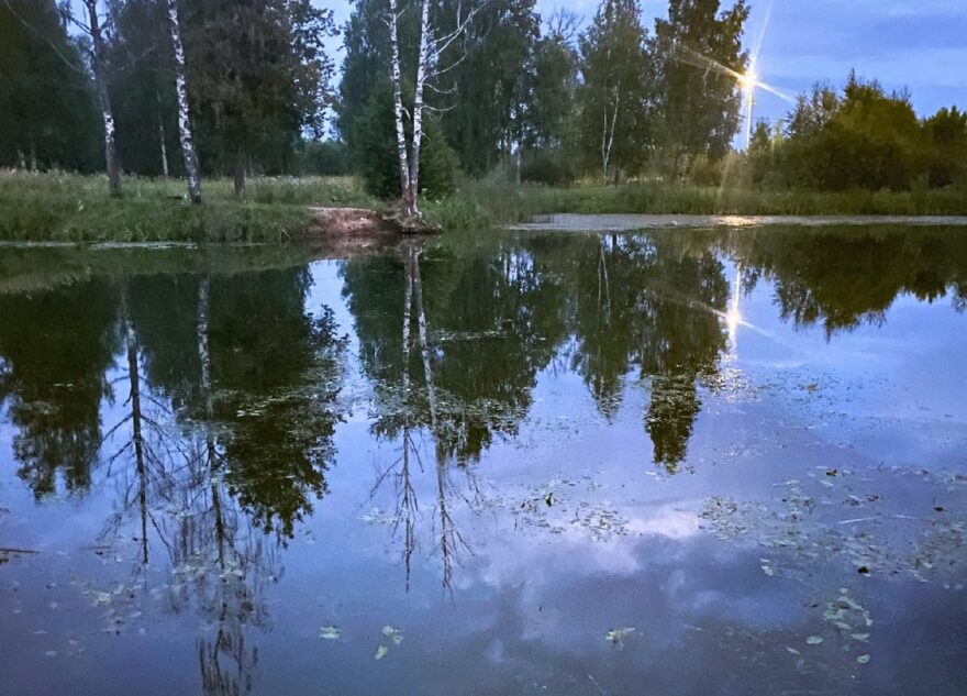 Тело мужчины нашли в пруду в Тверской области