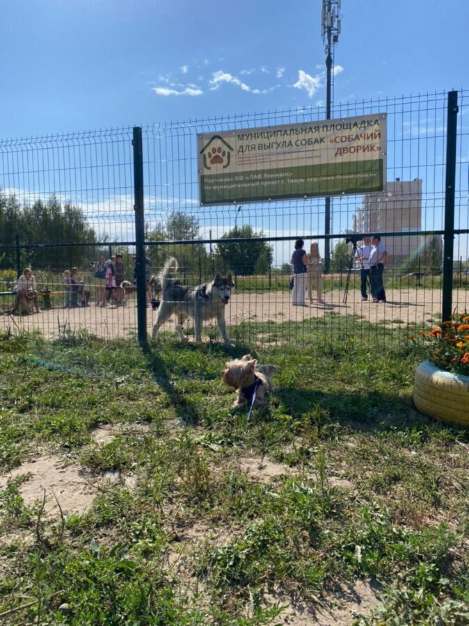 В Твери прошло открытие первой муниципальной площадки для выгула собак