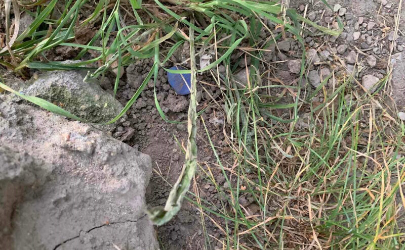 Подозреваемого в сбыте героина задержали в Тверской области