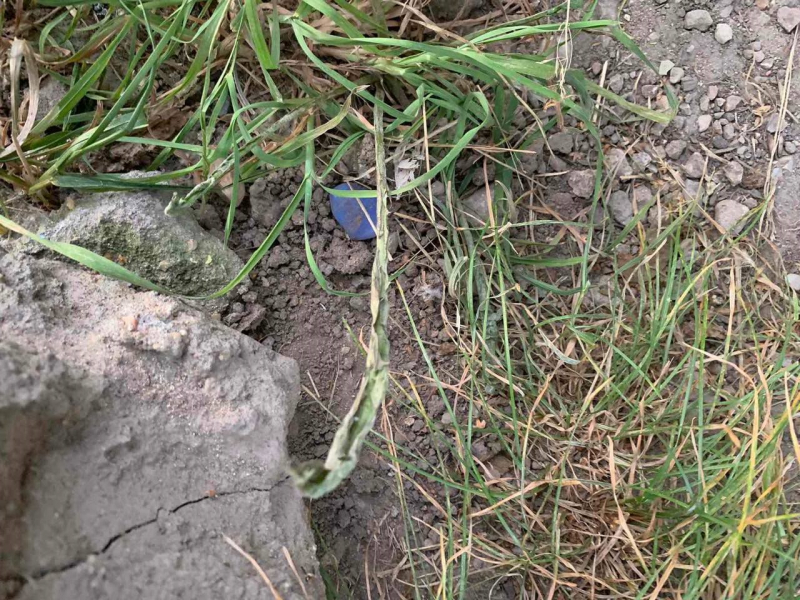 Подозреваемого в сбыте героина задержали в Тверской области