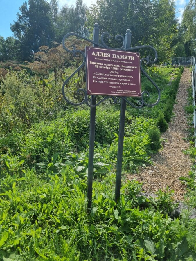 В Тверской области воруют посаженные на аллее к могиле деревья