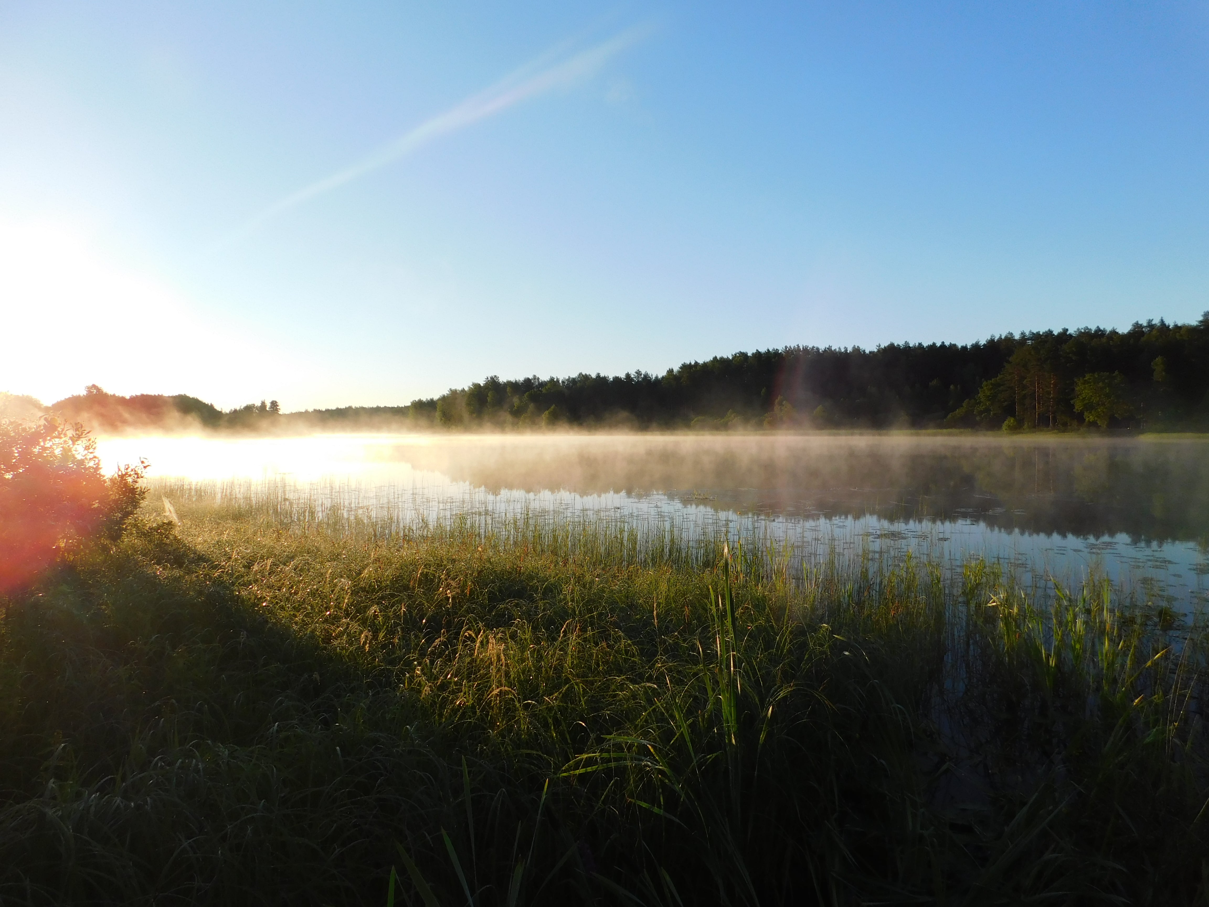 «После путешествия жизнь изменилась»: подопечные фонда «Константа» вернулись домой из большого похода