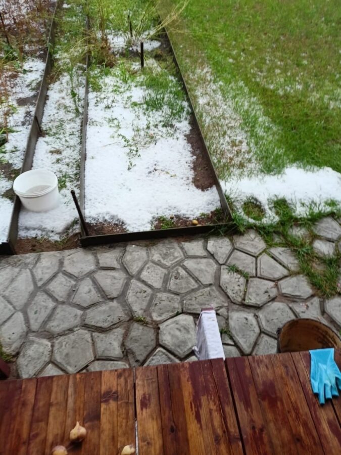 Лето в Тверской области завершилось "снегом"