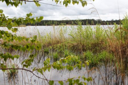 Следователи занялись гибелью мужчины на озере в Тверской области Следователи занялись гибелью мужчины на озере в Тверской области