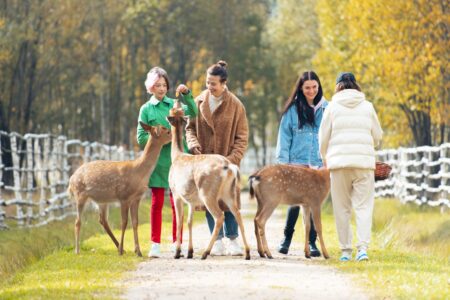 Паруса, олени и притча о девах: куда сходить в выходные в Тверской области Паруса, олени и притча о девах: куда сходить в выходные в Тверской области