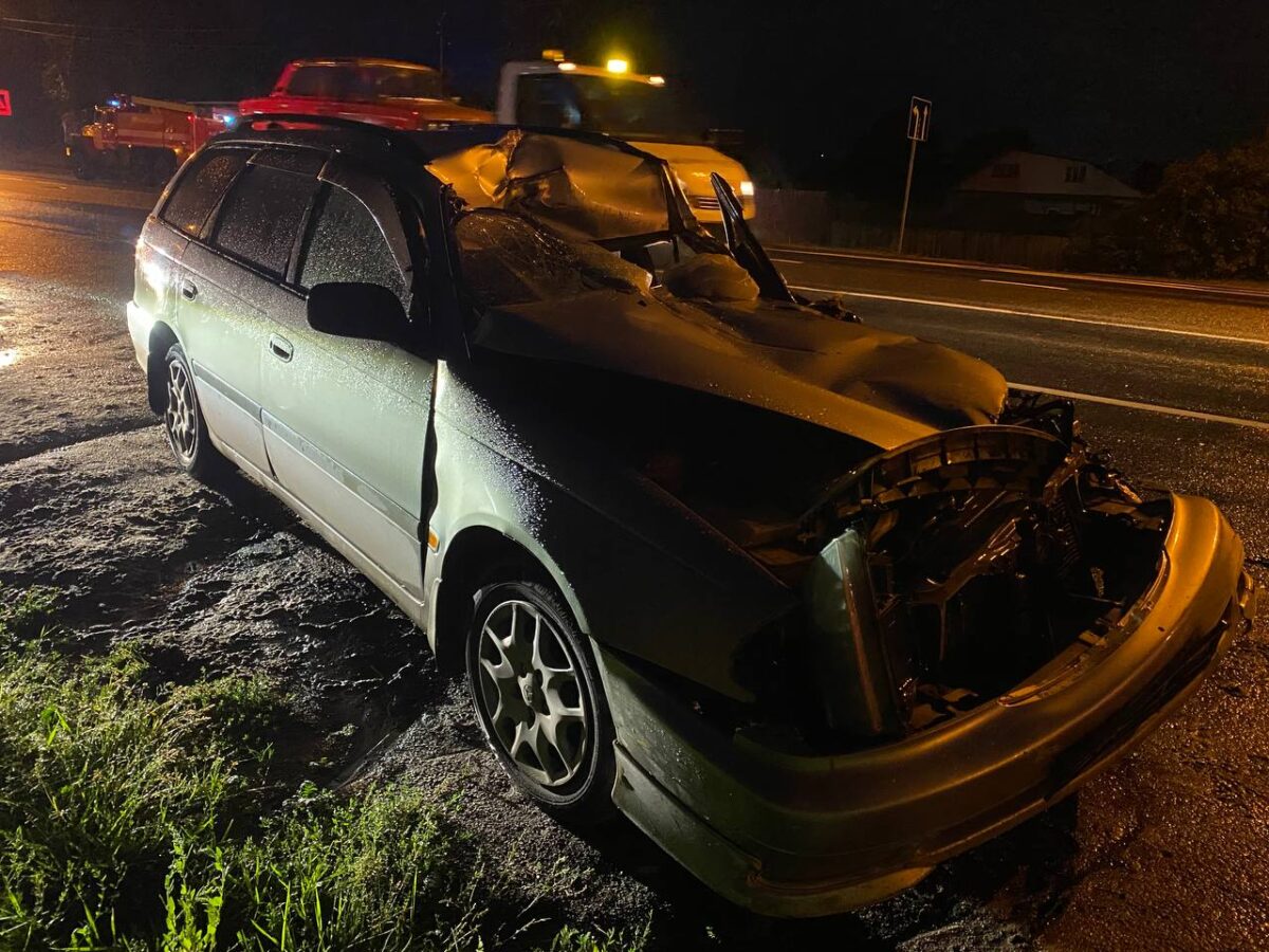 В Тверской области иномарка столкнулась с "Газелью", два человека пострадали