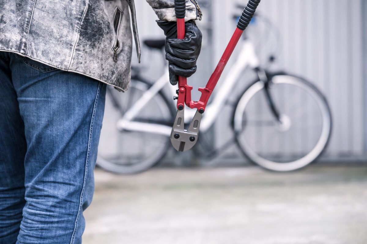 В Тверской области полиция вернула дорогой велосипед владельцу