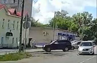 В Тверской области водитель легковушки насмерть сбил собаку и спокойно проехал мимо