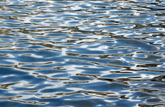 В Твери из реки достали труп мужчины В Твери из реки достали труп мужчины