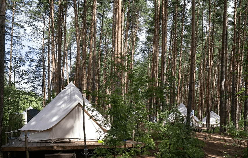 В Тверской области создадут новые кемпинги