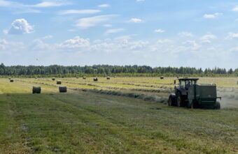 Муниципалитеты Тверской области наращивают показатели уборочной кампании Муниципалитеты Тверской области наращивают показатели уборочной кампании
