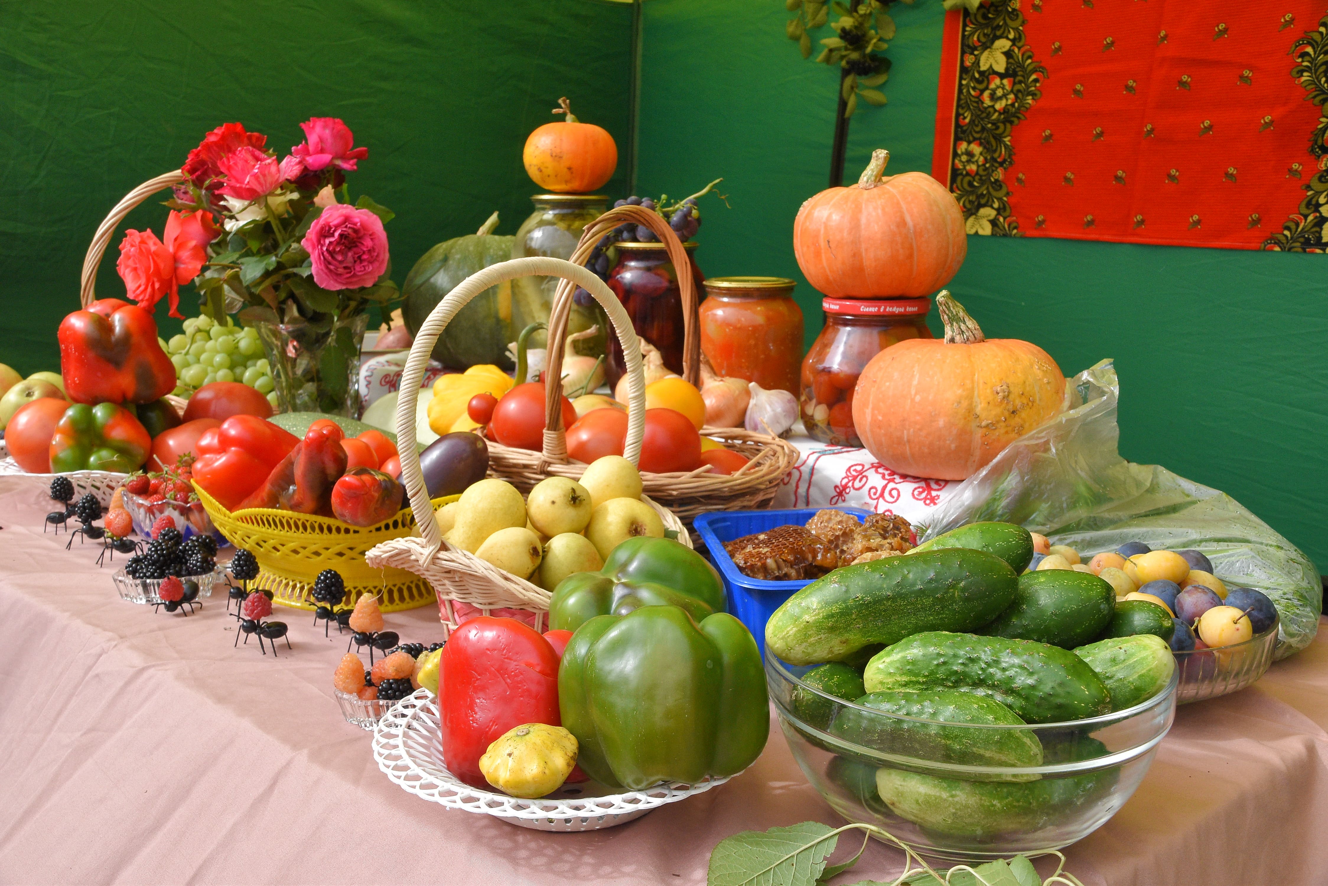 В Твери прошёл смотр-конкурс «Ветеранское подворье»