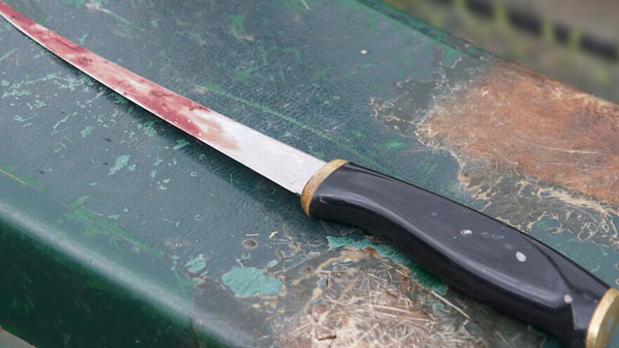 Житель Тверской области получил всего 6 лет за убийство сына