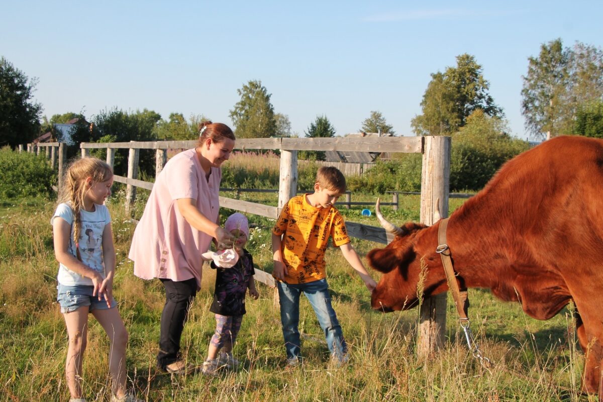 Семья Андроник представляет Вышневолоцкий округ на конкурсе "Семейное подворье"
