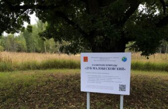 У Малобесковского дуба в Тверской области появилась визитная карточка