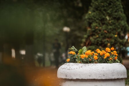 В выходные погода, наконец-то, порадует жителей Тверской области В выходные погода, наконец-то, порадует жителей Тверской области