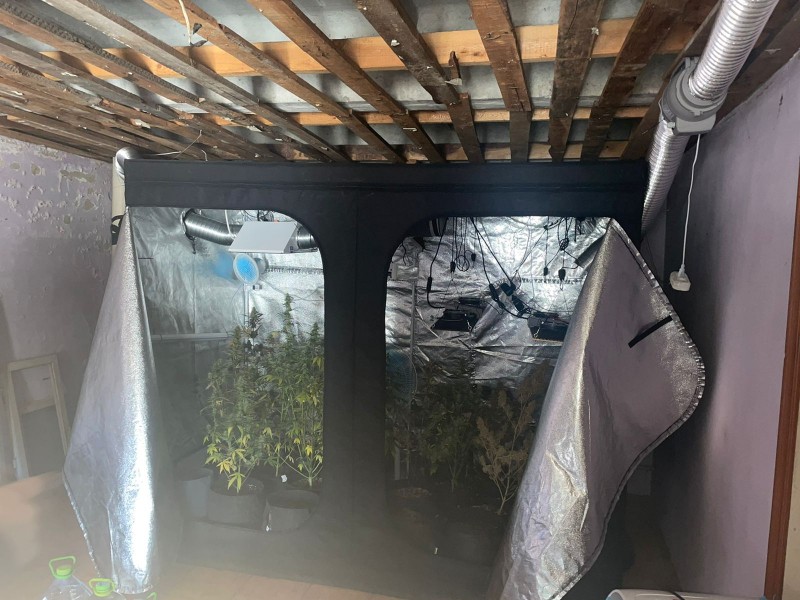 В гараже жителя Тверской области нашли коробки с каннабисом