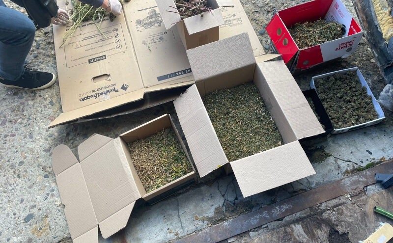 В гараже жителя Тверской области нашли коробки с каннабисом