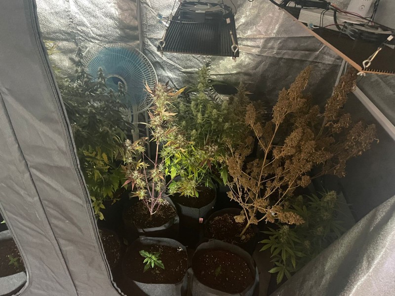 В гараже жителя Тверской области нашли коробки с каннабисом