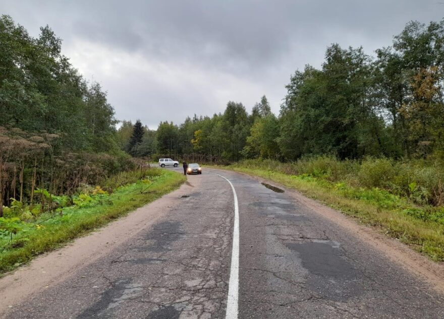 Пешеход погиб под колёсами автомобиля в Тверской области