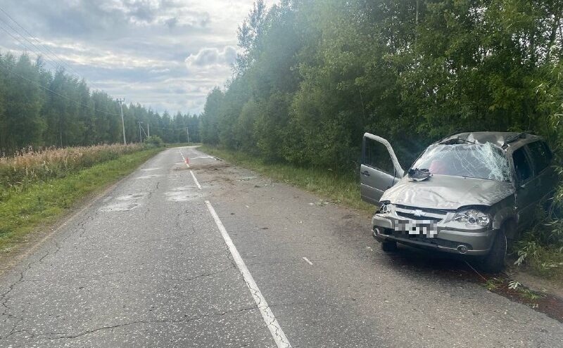 В Тверской области погиб водитель опрокинувшегося внедорожника В Тверской области погиб водитель опрокинувшегося внедорожника