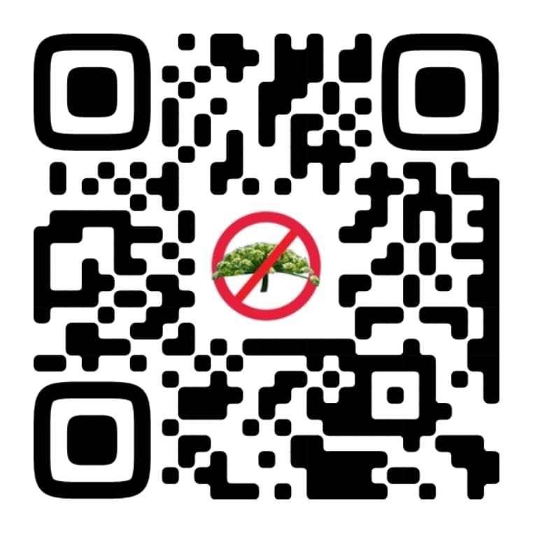 В Тверской области открыли информационную площадку для борьбы с борщевиком