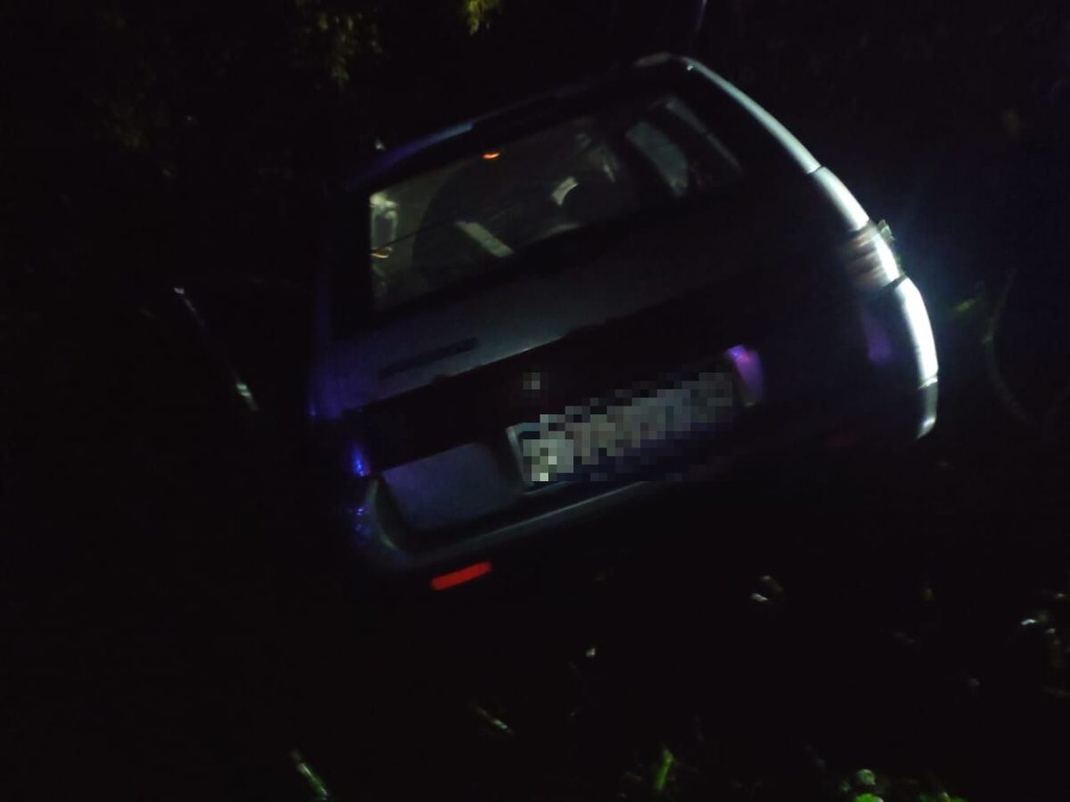 Три человека пострадали из-за лося, выбежавшего на дорогу в Тверской области