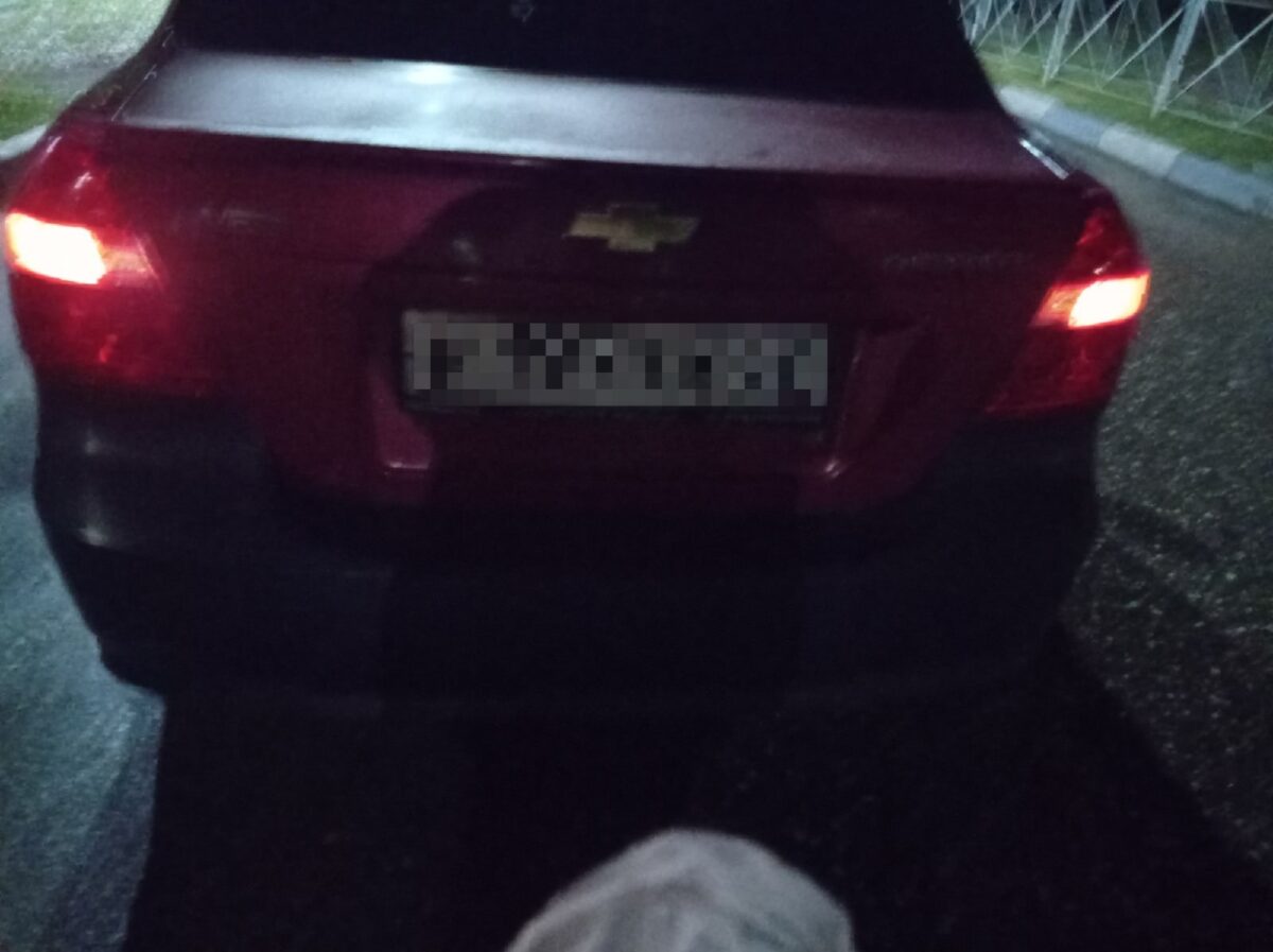 В Тверской области молодой водитель сбил кошку и чуть не задавил женщину