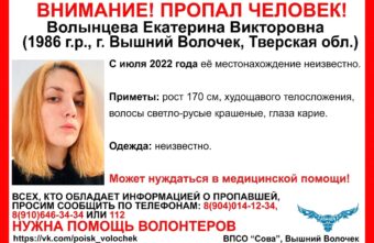 В Тверской области ищут женщину, пропавшую в середине лета