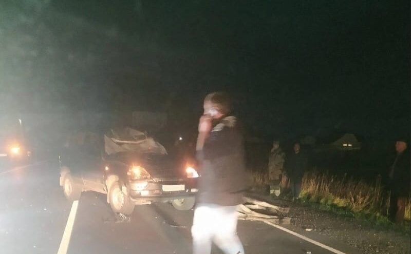 В Тверской области автомобиль сбил лося