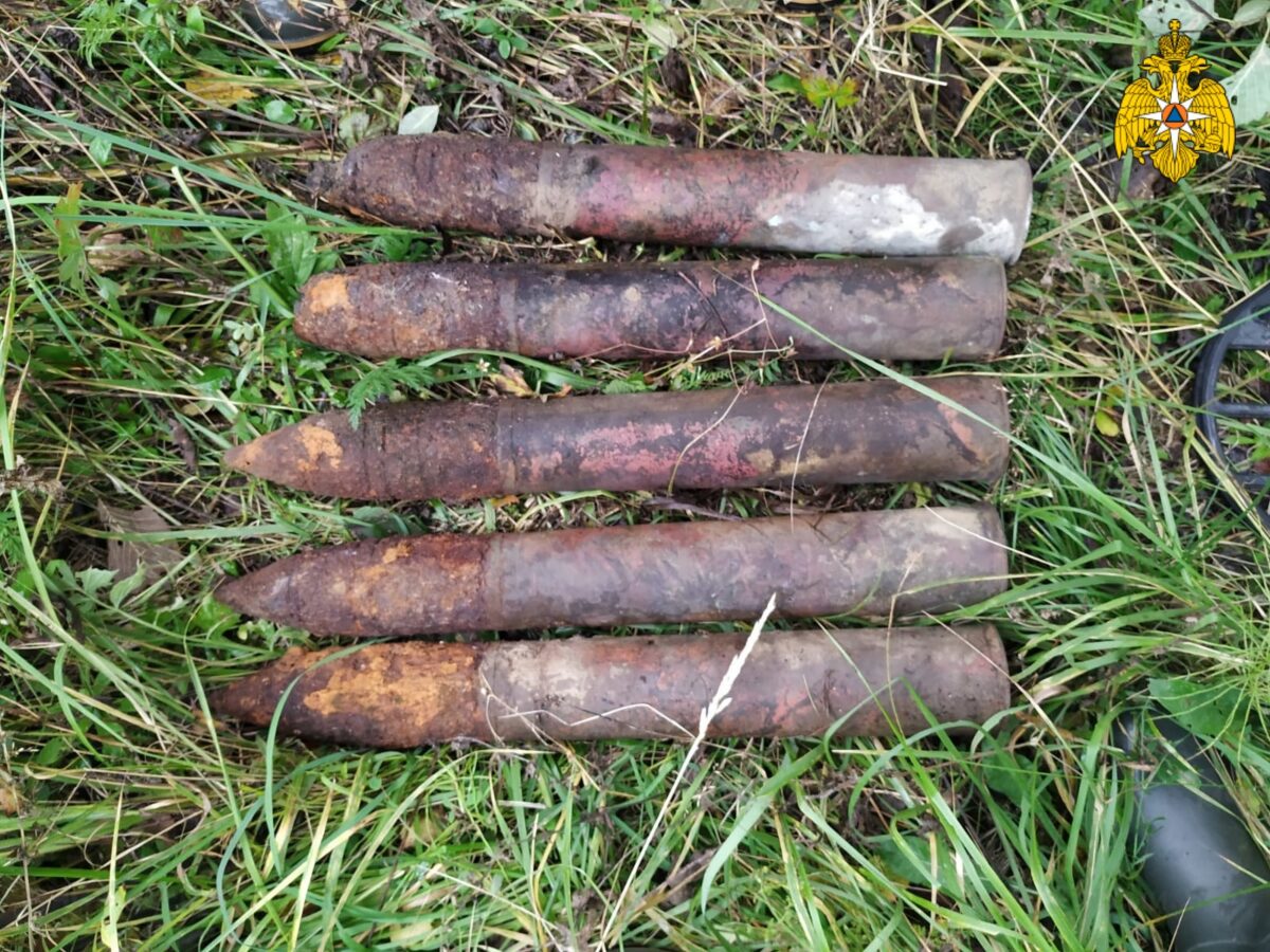 60 взрывоопасных предметов времён Великой Отечественной войны обезвредили в Тверской области