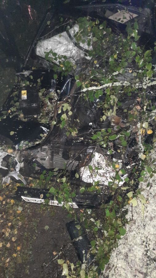 На трассе в Тверской области водитель врезался в неожиданно упавшее дерево