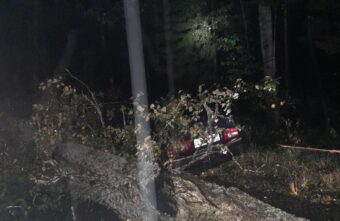На трассе в Тверской области водитель врезался в неожиданно упавшее дерево