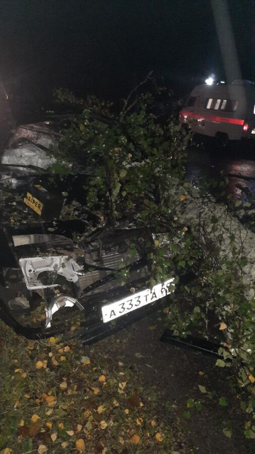 На трассе в Тверской области водитель врезался в неожиданно упавшее дерево