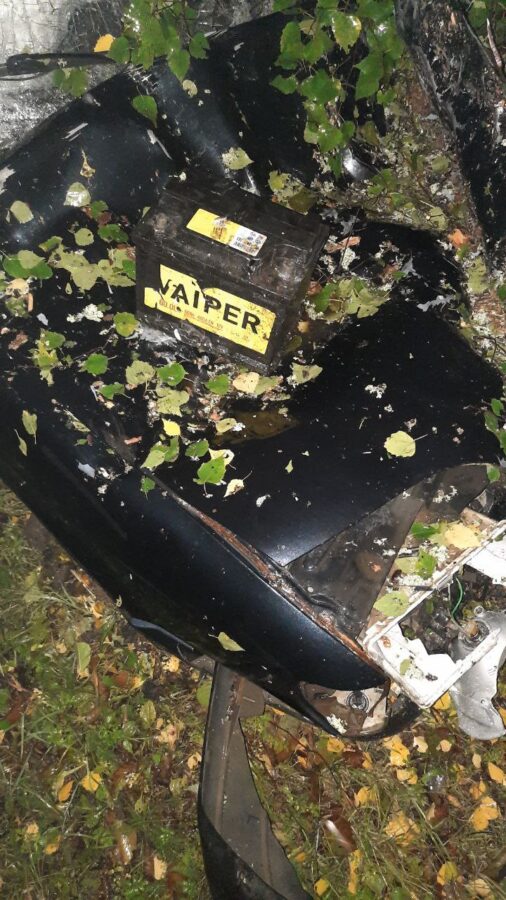 На трассе в Тверской области водитель врезался в неожиданно упавшее дерево