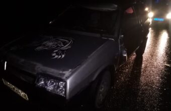 В аварии с лосём в Тверской области женщина получила резаные раны лица