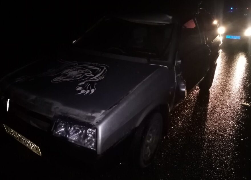 В аварии с лосём в Тверской области женщина получила резаные раны лица В аварии с лосём в Тверской области женщина получила резаные раны лица