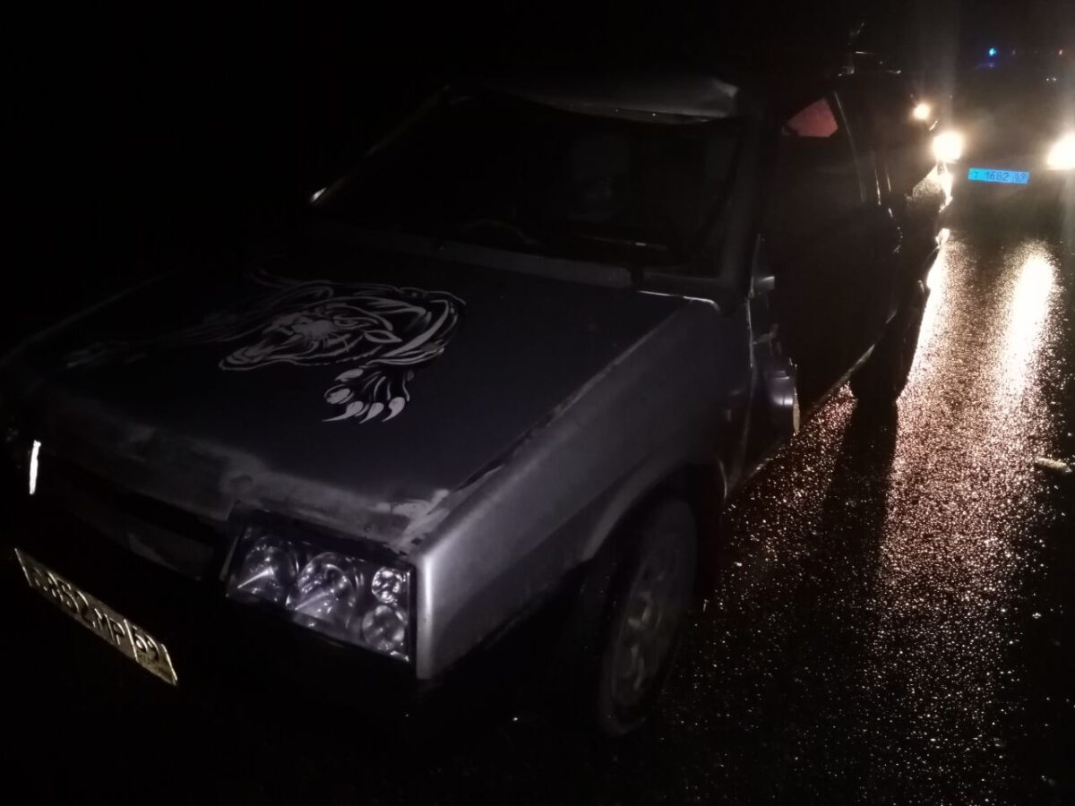 В аварии с лосём в Тверской области женщина получила резаные раны лица